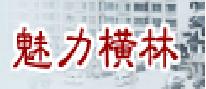 横林镇